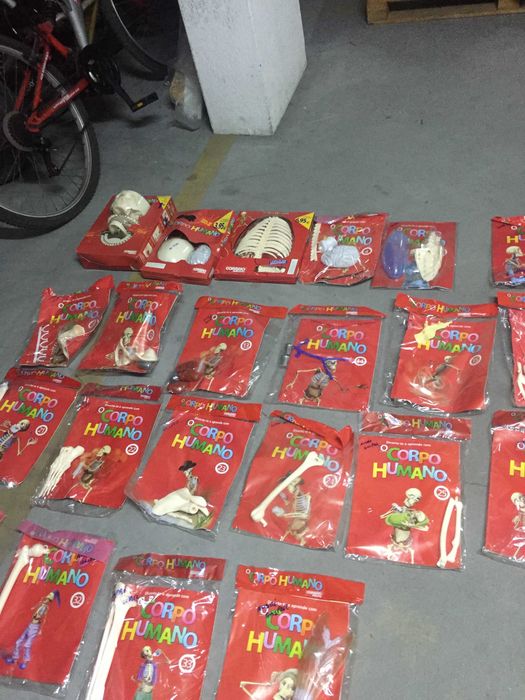 34 peças de um esqueleto