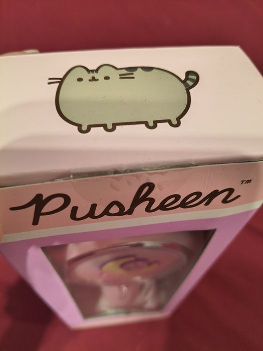 Mikrofon karaoke Pusheen