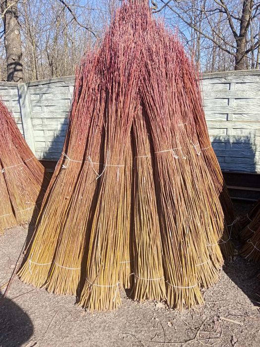 Wiklina zielona sortowana i nie sortowana 1,8m do 2,5 m