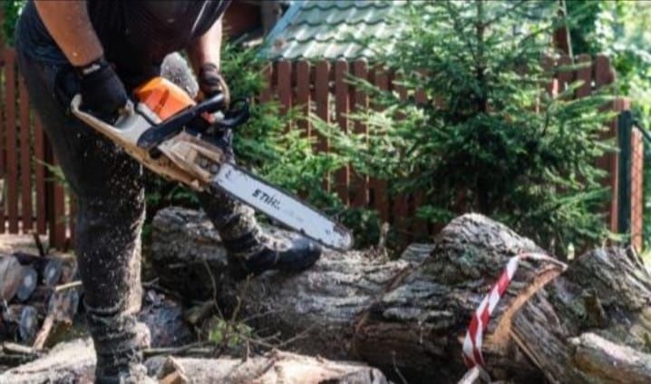 Wycinka Drzew, pielęgnacja, koszenie