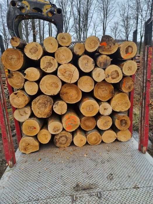 Drewno opałowe i kominkowe!!!