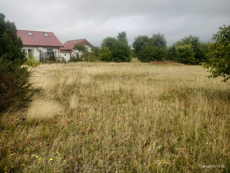 działka Czarna Łąka