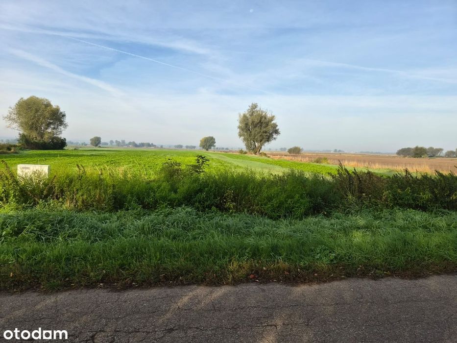 Działka budowlana 1388 m² | MPZP | Prąd na działce | 24 km od Gdańska - Widok 2