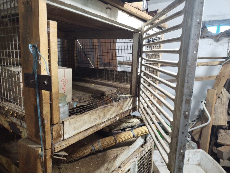 Клітки для кролів, курей, нутрій