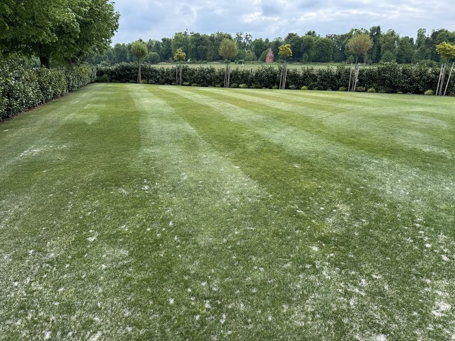 Aerator spalinowy Billy goat Weibang Camon_aeracja trawnika piaskowanie