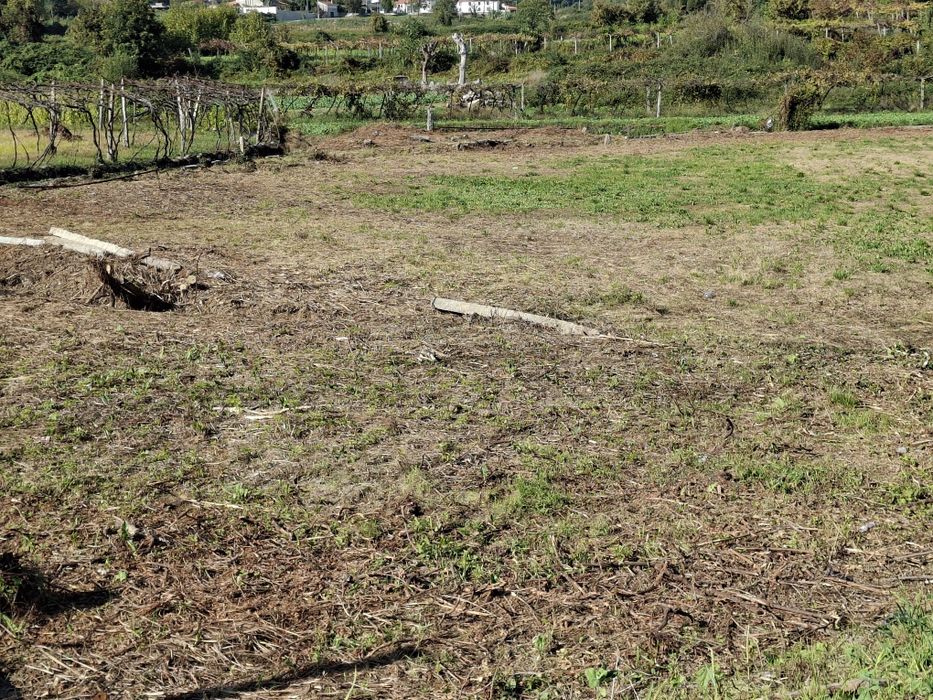 Arrenda-se espaço agrícola