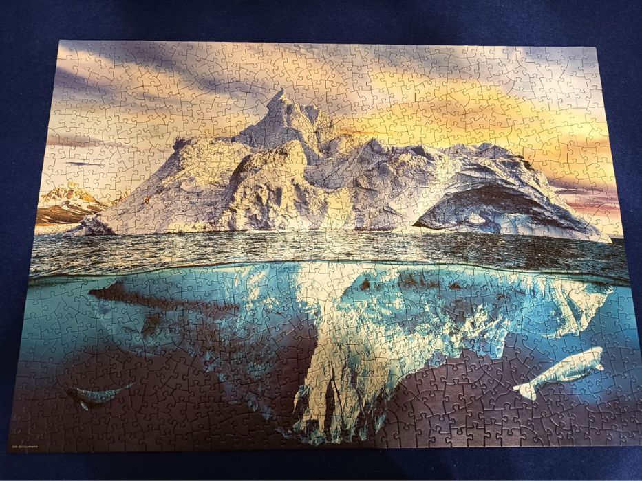 Puzzle 1000 Eurographics Arctica