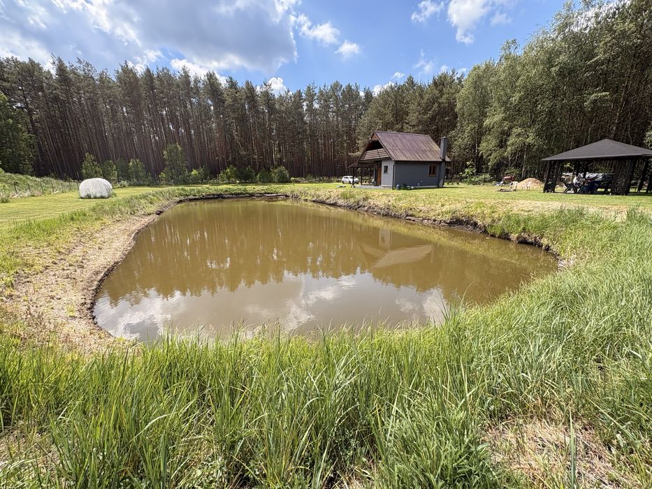Leśny Azyl w Sercu Puszczy Noteckiej