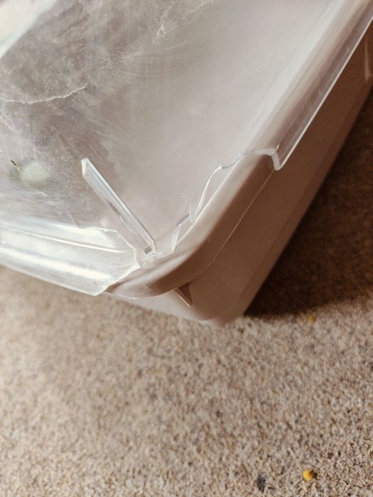 Клітка для хом'яка