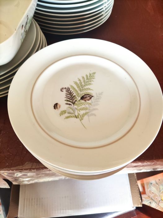 Conjunto porcelana vista alegre