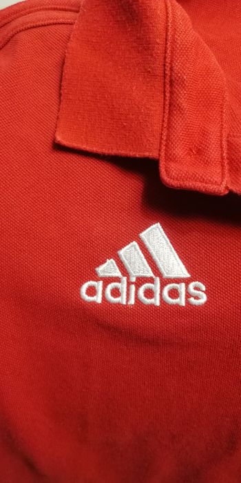 Polo do Benfica vermelho adidas
