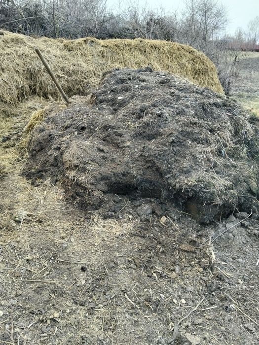 Продам перегній/гній коровячий