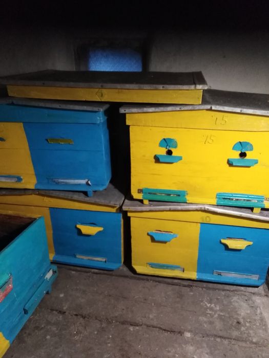 Вулики бджолині в гарному стані