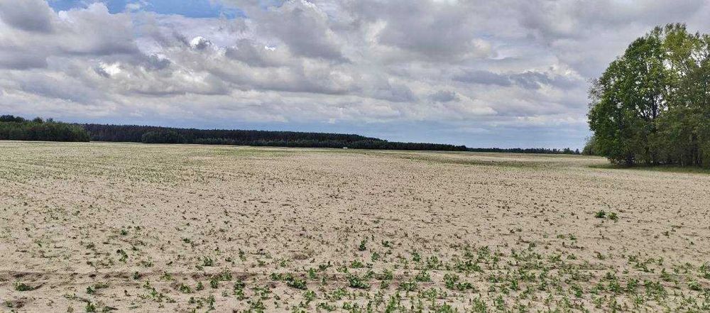 Земельна ділянка під СГ в Андріївці!