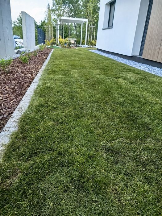 Trawa w rolce, od ręki, od 1 m2 + dedykowany nawóz GRATIS