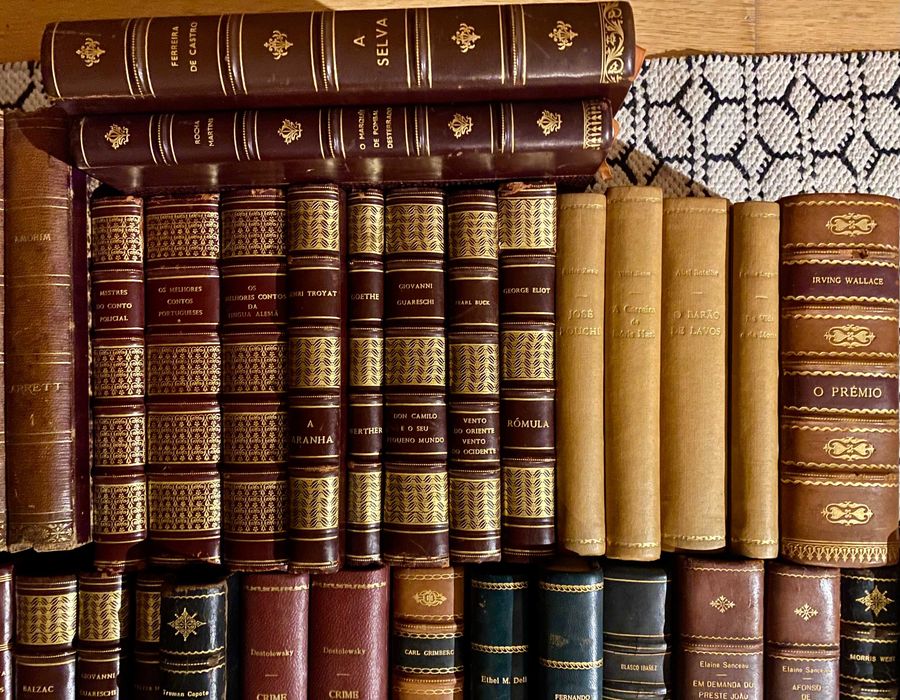 Lote livros antigos literatura - raridades