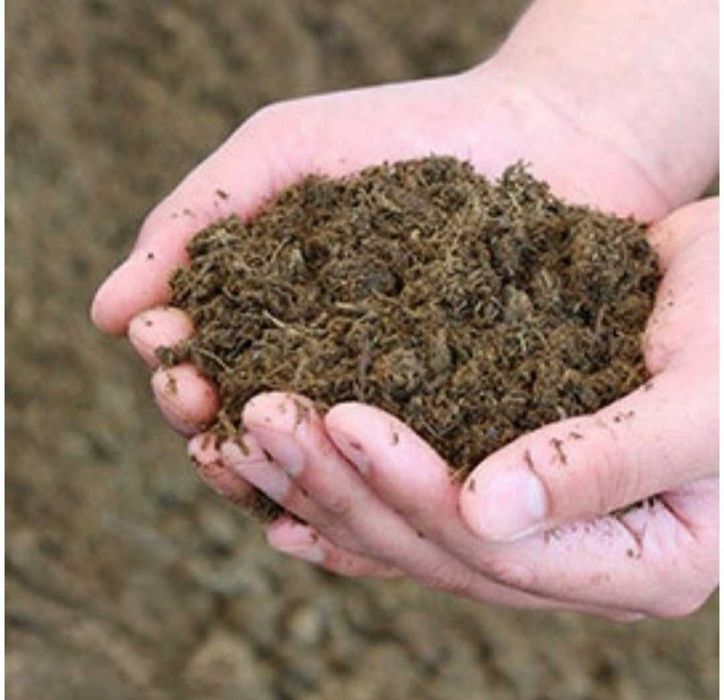 Estrume de animais de grande porte