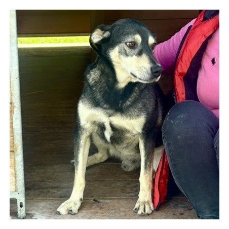 Wesoly slodziak Gufik czeka na dom