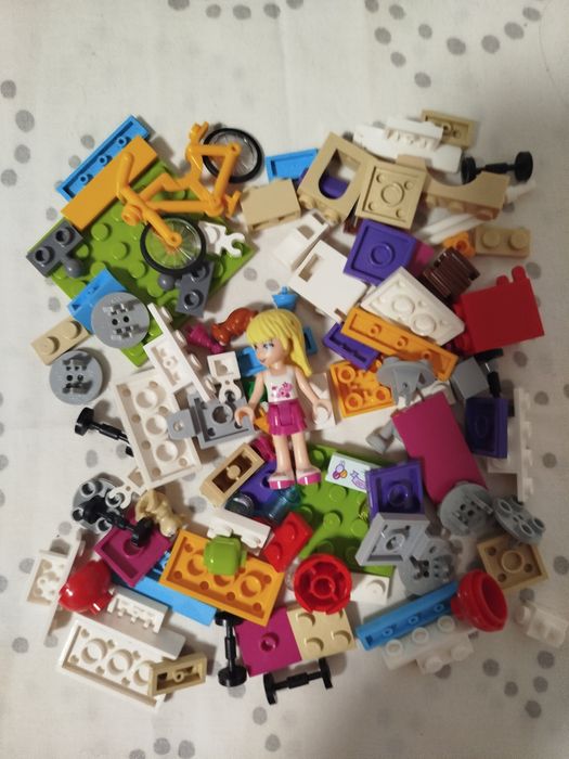 Lego Friends 41111