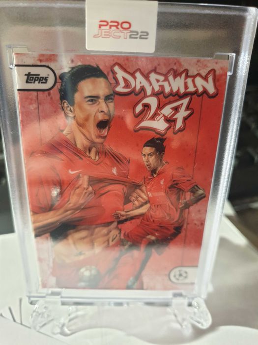 Haaland, Musiala, Darwin, Ronaldo project22