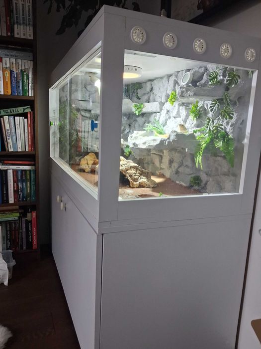 Agama brodata terrarium komplet stan bdb