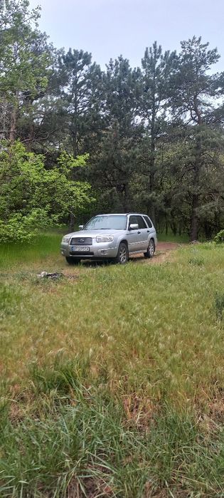 Subaru Forester.