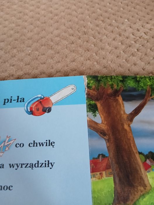 Książeczka dzielny żółwik