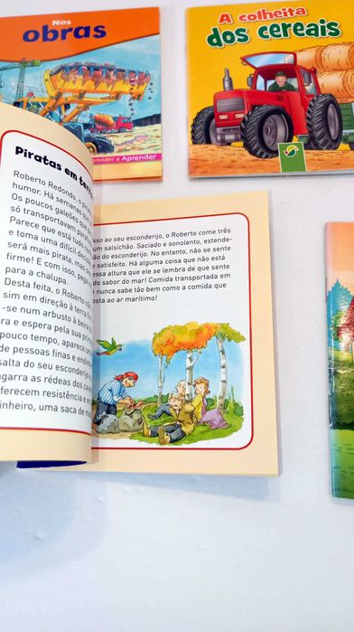 Livros da Coleção - Mini Livros