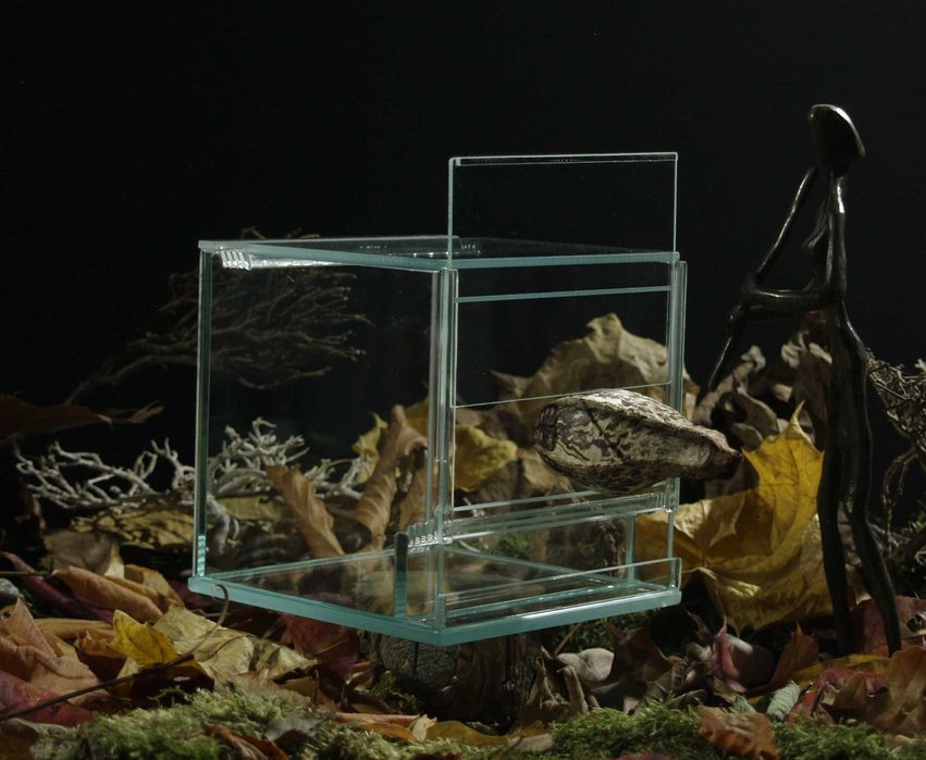 Profesjonalne terrarium 12x12x12cm szkło potrójna wentylacja EKO