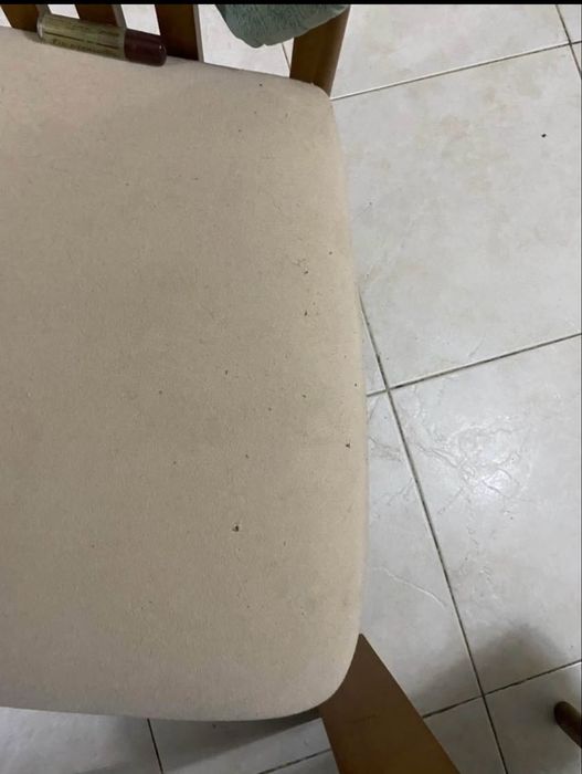 Mesa sala jantar