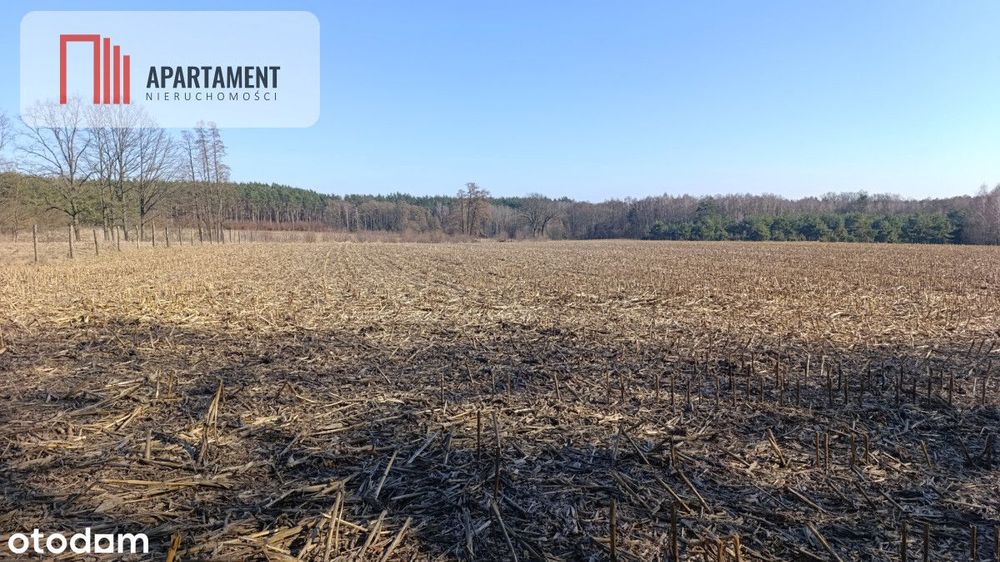 Grunt rolny/sad/pasieka/lokata kapitału/przestrzeń