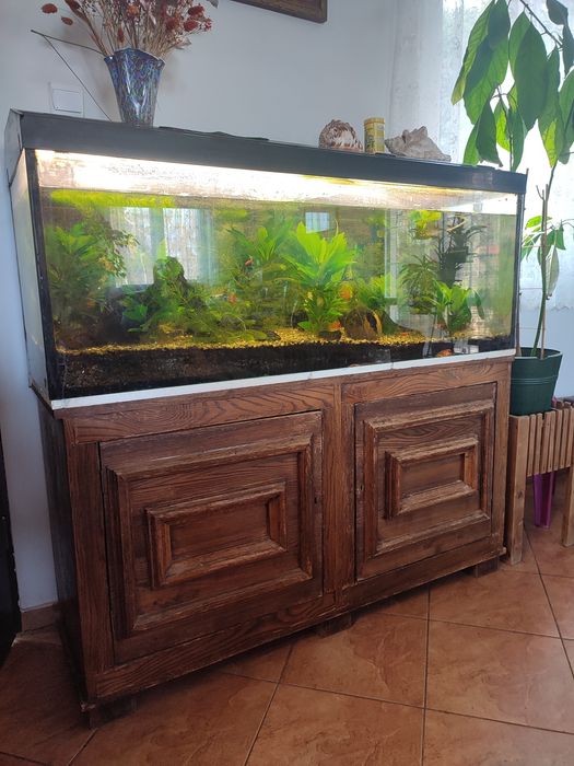 Akwarium 240 l z szafką