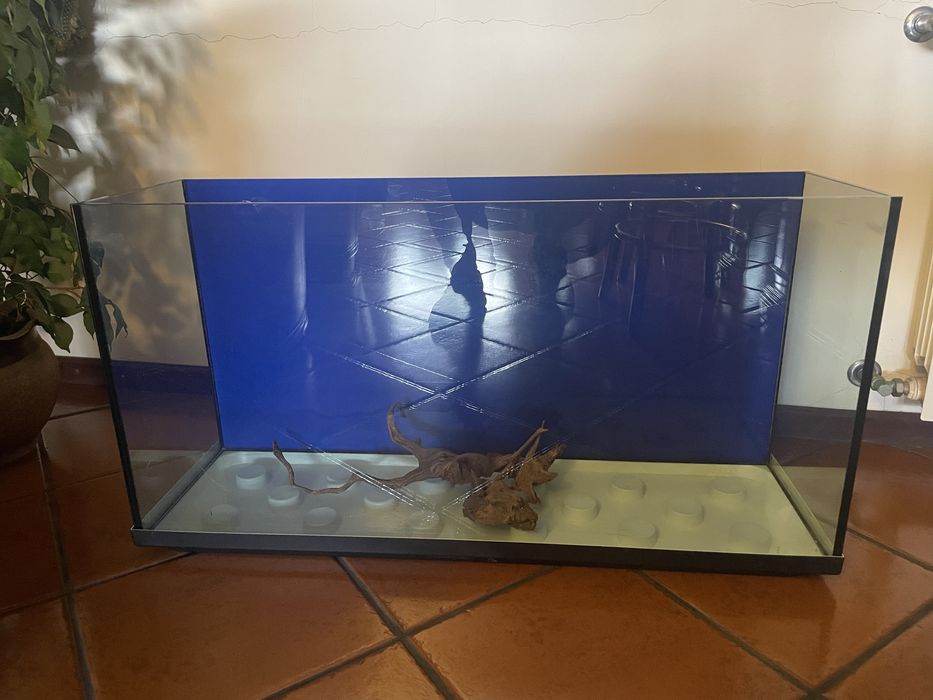Aquário 180L Completo – Fluval + EHEIM + Acessórios