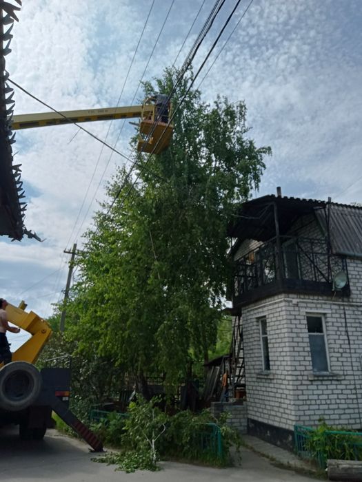 Розпилювання дерева спил дерева прибирання ділянок