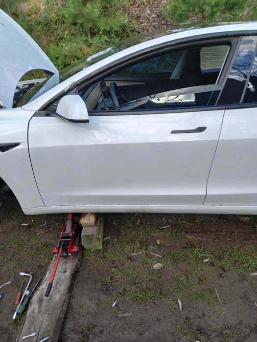 Дверка tesla model 3  дверь двері tesla m3