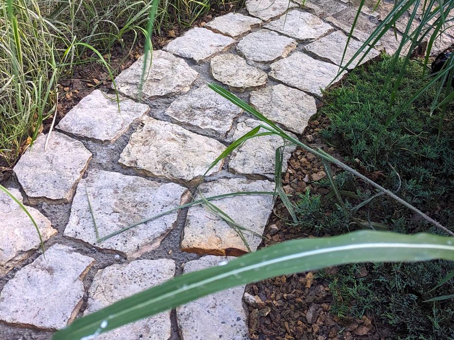 Profesjonalne mycie i impregnacja kostki brukowej, elewacji, ogrodzeń