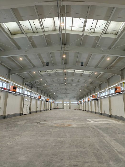 Hala do wynajęcia od zaraz