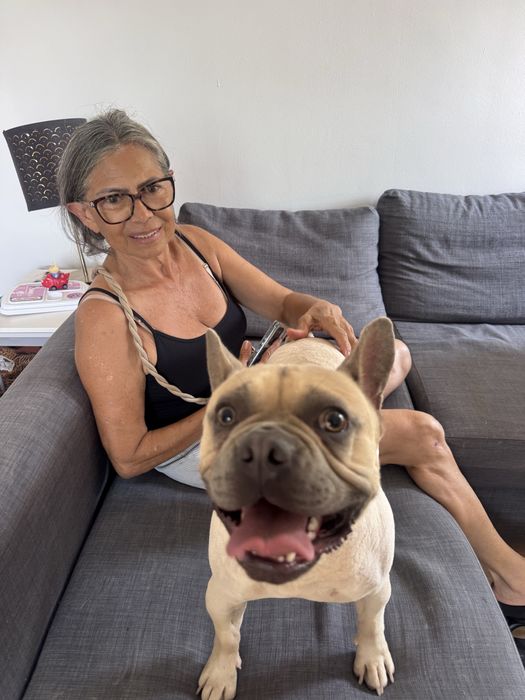 Hospedagem e passeios para cães.