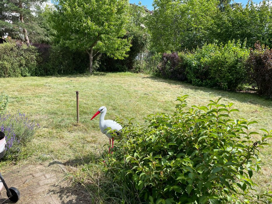 Działka ROD rekreacyjna 320 m Mokotów (Augustówka)