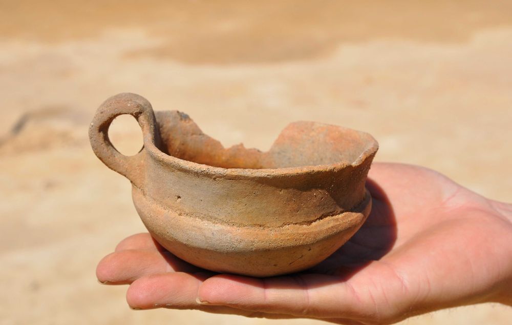 archeolog, nadzór archeologiczny, badania archeologiczne, Łódź