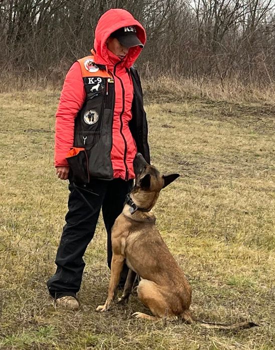 Ефективне Дресирування Собак Усіх Порід, дрессировка собак