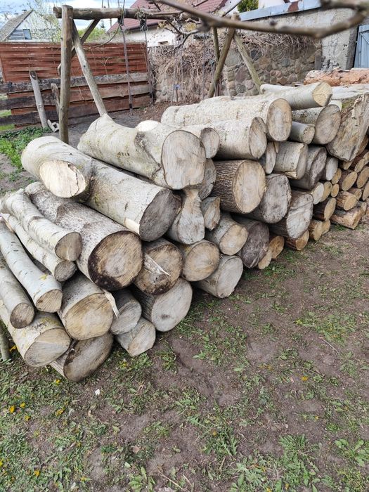 Drewno opałowe osika (drzewo lisciaste)