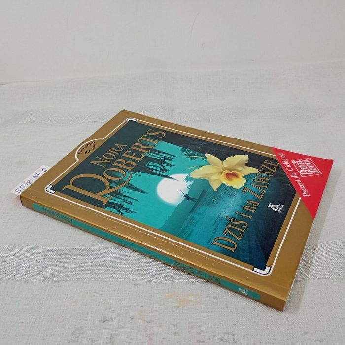 Dziś i na zawsze. Nora Roberts