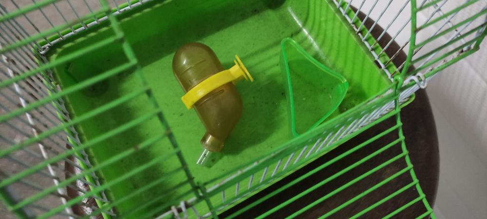 Pequena gaiola com acessórios