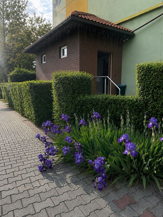 Mieszkanie 61m2/ Bytków/ Ogródek/ niezależne wejście