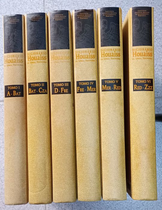 Seis volumes do dicionário Houaiss