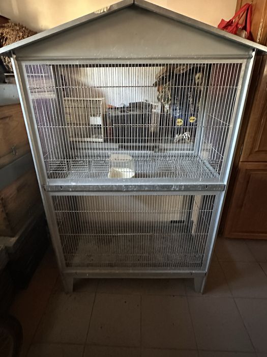 Vendo gaiolo como nova