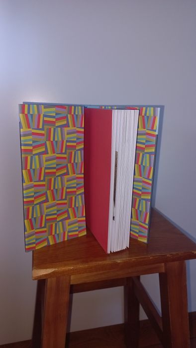 O vício dos livros - Livro