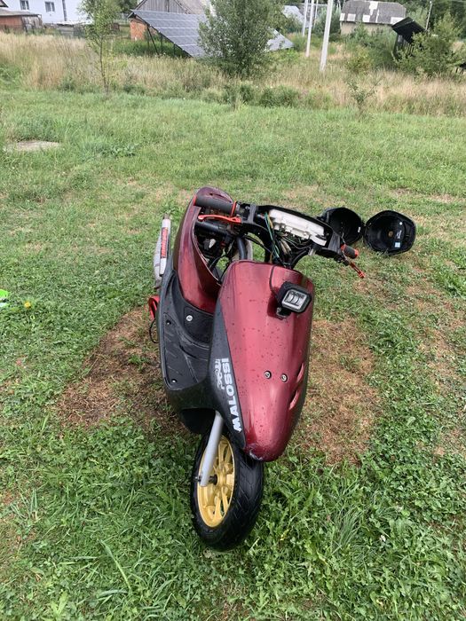honda dio af 34