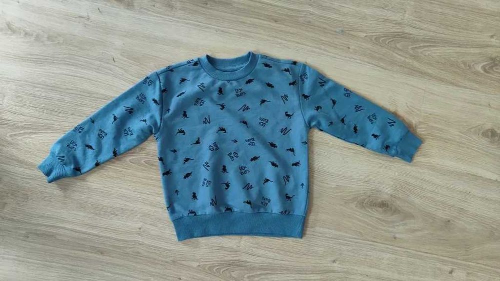 Bluza dinozaury 98